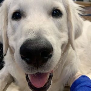 Meet your Posher, Mary